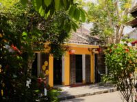 Guided tour to My Son Sanctuary and Hoi An old town from Da Nang Port Review