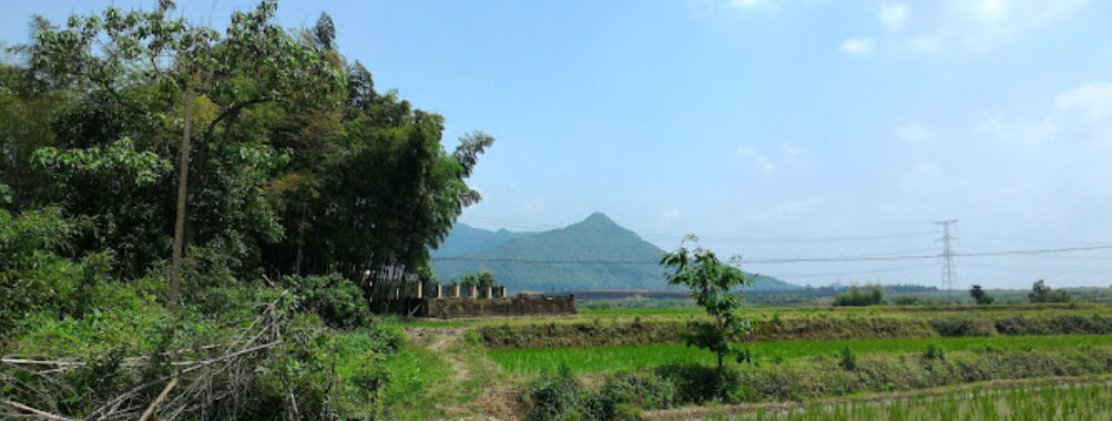 Guixi Travel Forum Reviews