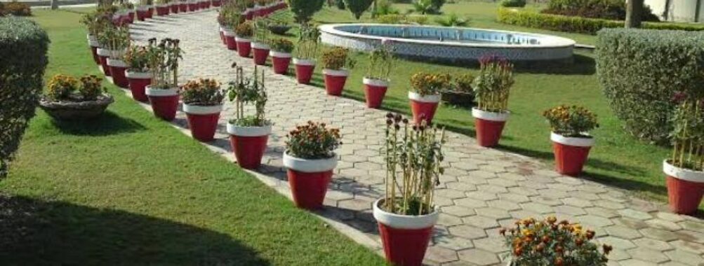 Gulberg Park B Block Travel Forum Reviews