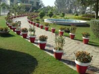 Gulberg Park B Block Travel Forum Reviews