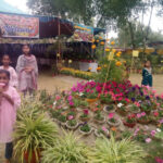 Gulistan e baldia
