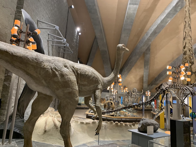 Gunma Museum of Natural History