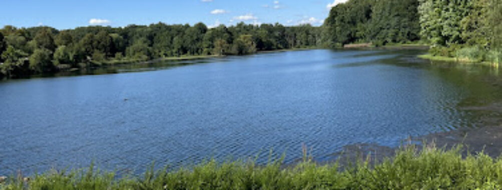 Gunner's Lake Local Park Travel Forum Reviews