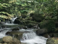 Gunung Nuang Recreational Forest Travel Forum Reviews