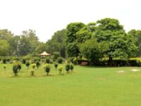 Gutwala Park Faisalabad Travel Forum Reviews