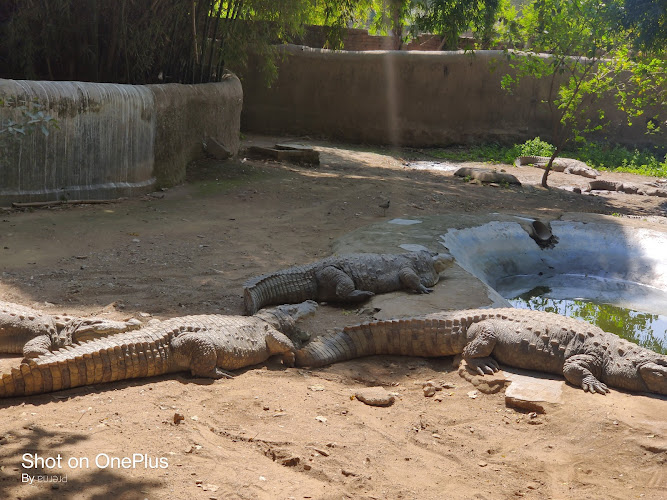 Gwalior Zoo