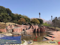 Gyogyo Land Travel Forum Reviews