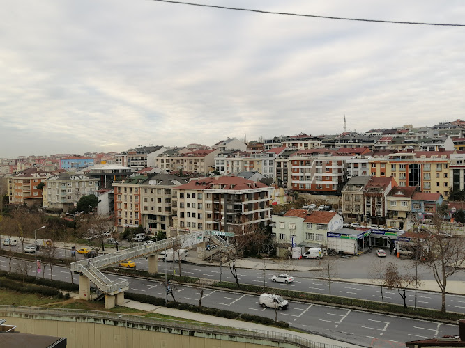 H. Rıfat Paşa