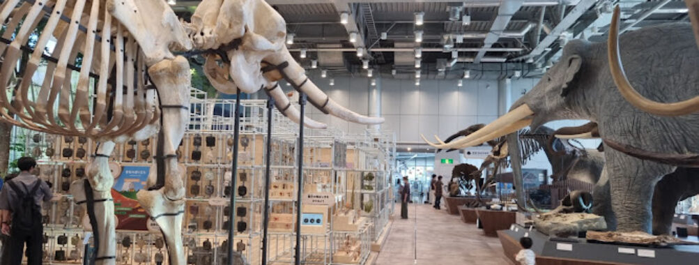 HOKUSHU Sendai City Science Museum Travel Forum Reviews