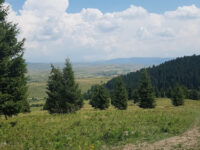 HR Paintball Travel Forum Reviews