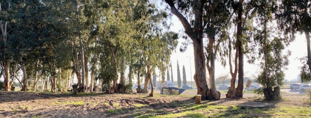 HaTzofim Grove Travel Forum Reviews