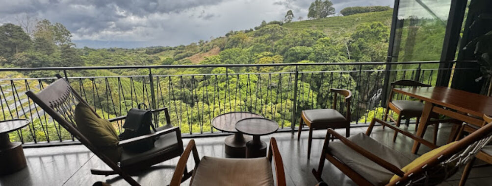 Hacienda Alsacia Starbucks Coffee Farm Travel Forum Reviews