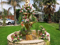 Hacienda El Jaguey Travel Forum Reviews