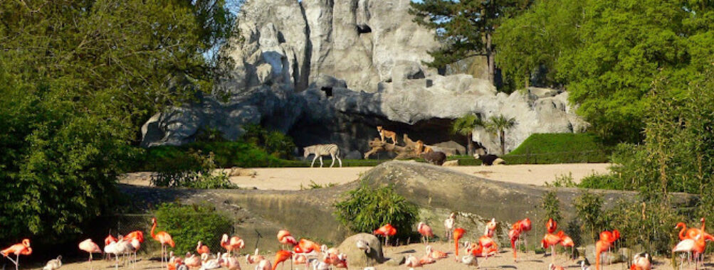 Hagenbeck Zoo Travel Forum Reviews