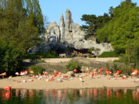 Hagenbeck Zoo Travel Forum Reviews