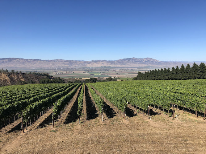 Hahn Estate