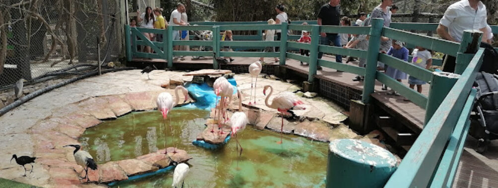 Haifa Zoo Travel Forum Reviews