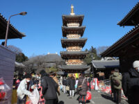 Haijimadaishi Travel Forum Reviews