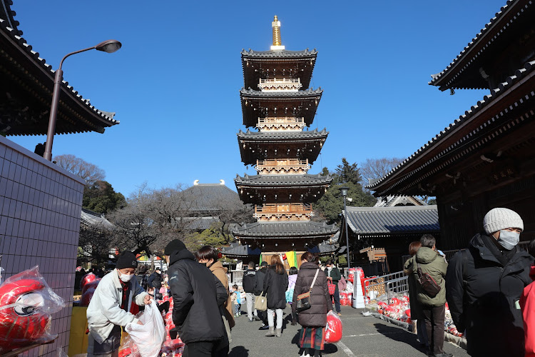 Haijimadaishi