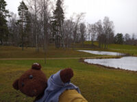 Håjums begravningsplats Travel Forum Reviews
