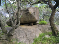 Haka Camp Game Park Travel Forum Reviews
