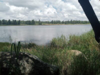 Haka Game Park Travel Forum Reviews