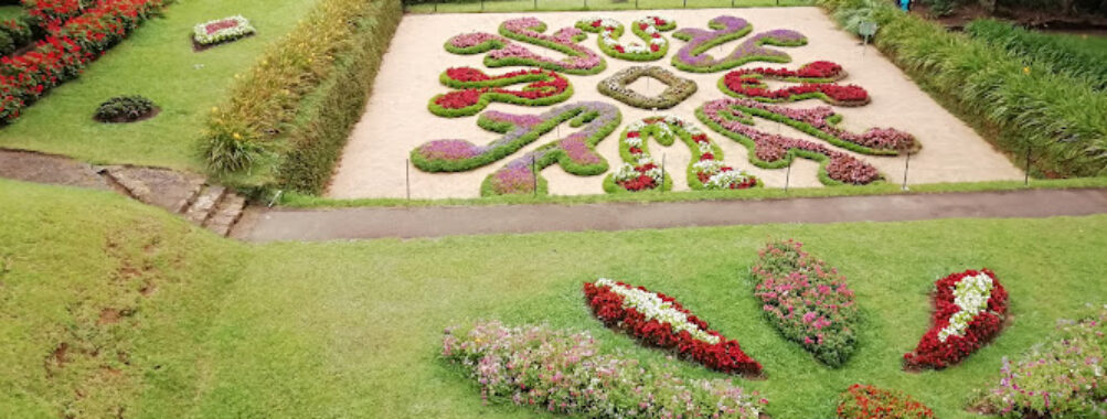 Hakgala Botanical Garden Travel Forum Reviews