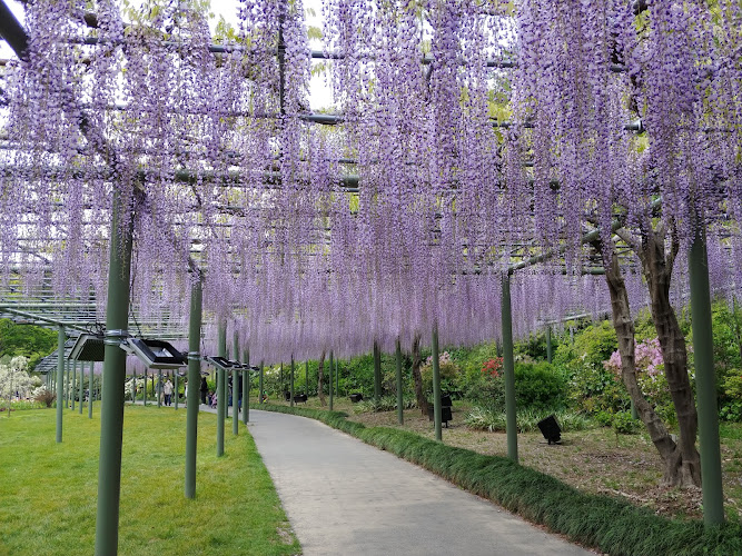 Hamamatsu Flower Park