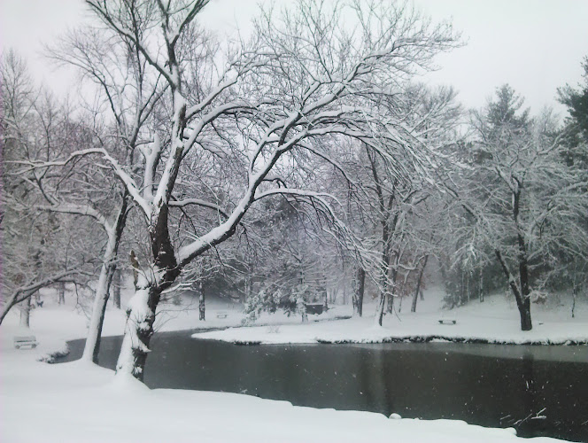 Hamilton Park