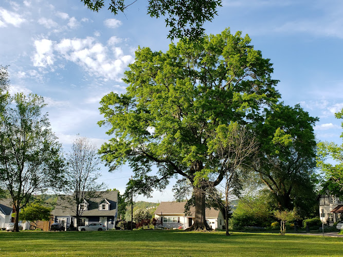 Hammond Park