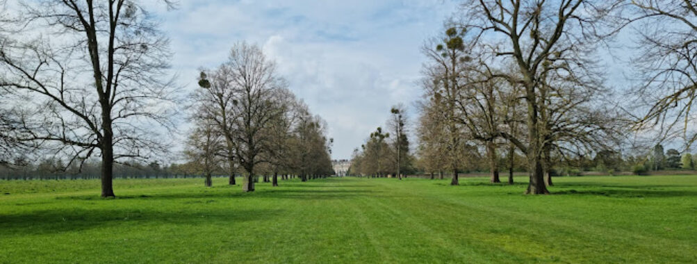 Hampton Court Park (Home Park) Travel Forum Reviews