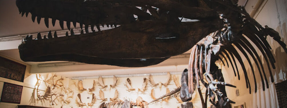 Hand of Man Museum Travel Forum Reviews