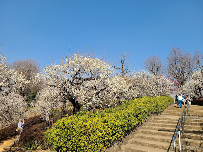 Hanegi Park