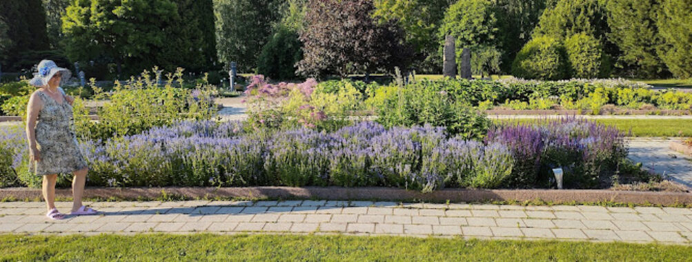 Hanhipuisto Garden Park Travel Forum Reviews