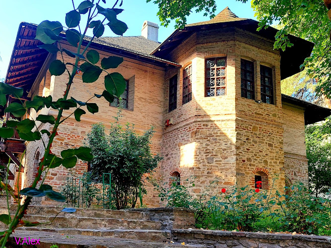 Hanul Domnesc