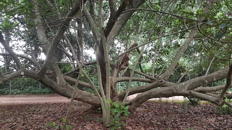 Harare Botanical Gardens