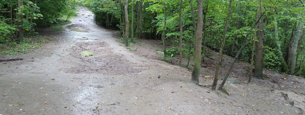 Harmony Valley Park and Off-Leash Dog Park Travel Forum Reviews