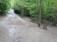Harmony Valley Park and Off-Leash Dog Park Travel Forum Reviews