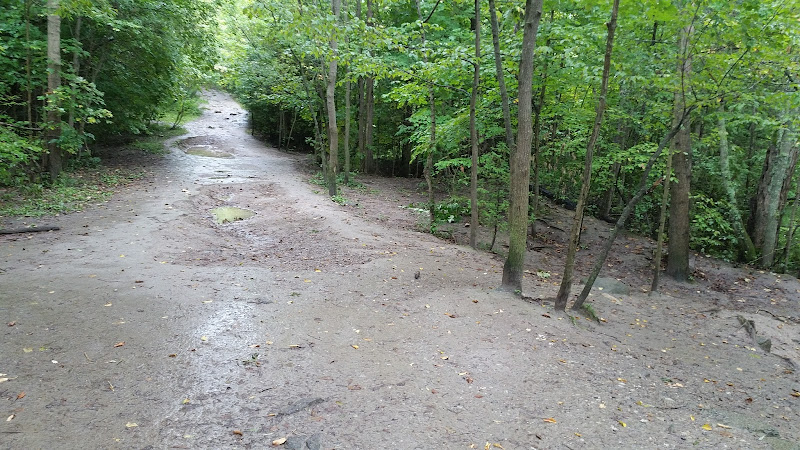 Harmony Valley Park and Off-Leash Dog Park
