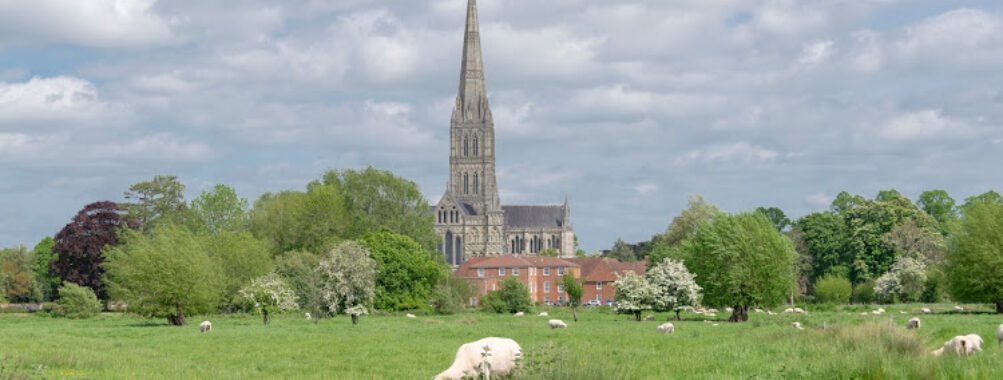 Harnham Water Meadows Travel Forum Reviews