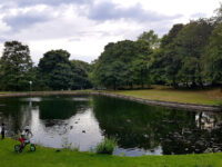 Harold Park Travel Forum Reviews
