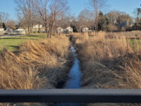 Harold Reskin Park Travel Forum Reviews