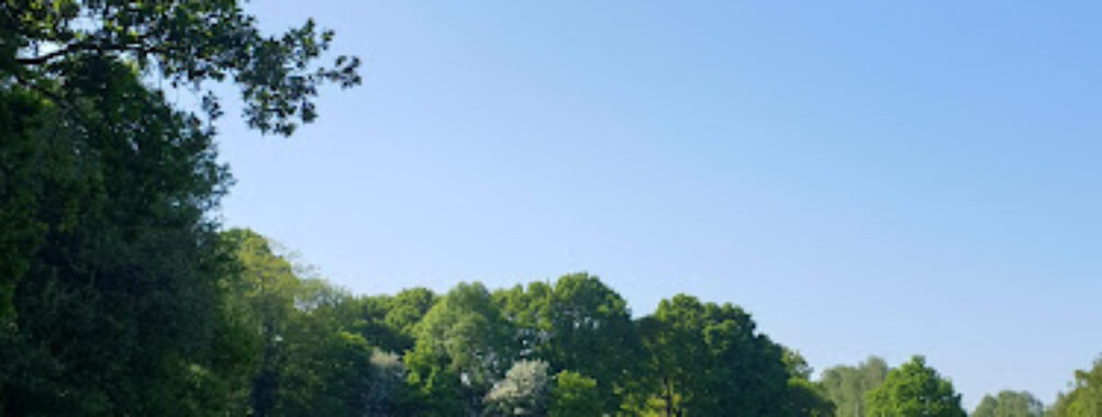 Harpenden Common Travel Forum Reviews