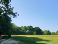 Harpenden Common Travel Forum Reviews