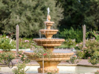 Harry P Leu Gardens Travel Forum Reviews
