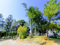 Hashira Park Travel Forum Reviews