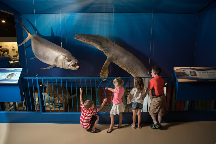 Hastings Museum