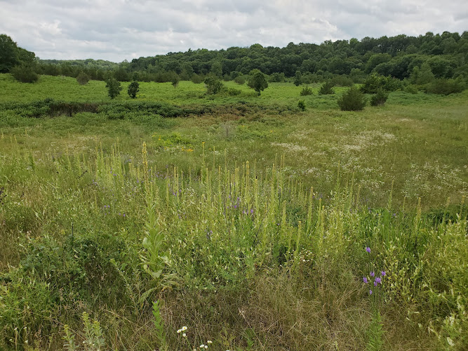 Hastings Sand Coulee Scientific and Natural Area (North Unit)