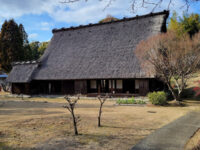 Hattori Ryokuchi Park Travel Forum Reviews