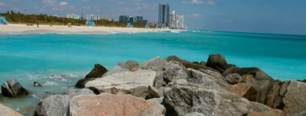 Haulover Park Travel Forum Reviews